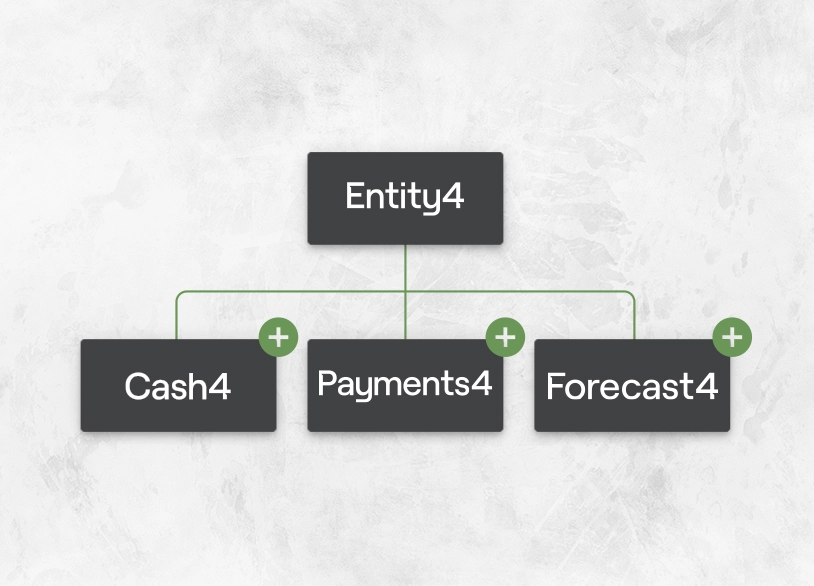 treasury4-solutions-for-treasurers